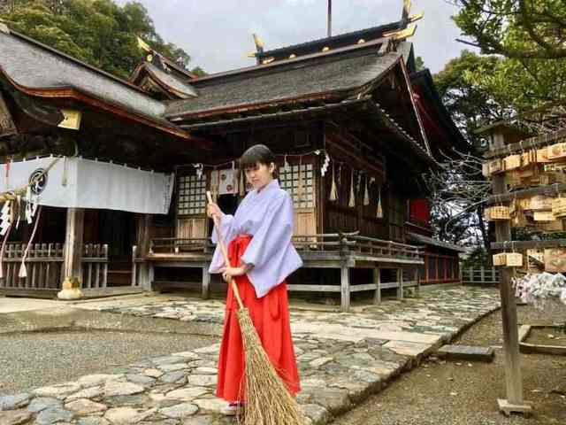 採用情報 飯野八幡宮の求人