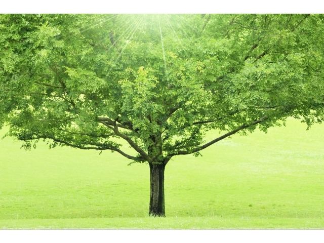 恵和興業 株式会社 福島県大熊町 工場スタッフの求人 契約社員 地元の正社員 アルバイト パート求人を多数掲載 ジョブポスト 恵和興業 株式会社 福島県大熊町 工場スタッフの求人 契約社員 地元の正社員 アルバイト パート求人を多数掲載 ジョブポスト